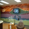 Murals