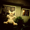 Little Bunny Foo Foo