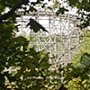 Abandoned Amusement Parks 5