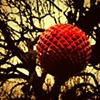 Red Planet
