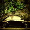Beetle