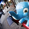 Elephant Fun