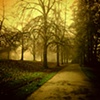 Walking to Work