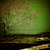 January Colors