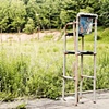 Abandoned Amusement Parks 6