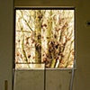 Living Enrichment Center 7
