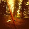 Swings