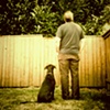 A Boy and His Dog