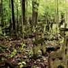 Abandoned Amusement Parks 1
