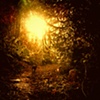 Magic Hour