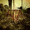 Bike, with Weeds