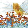 Undergrowth Invasion