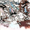 Black Hole Bird Path