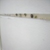 linear demarcation(detail)