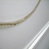 circular demarcation(detail)
