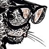 professor kitty
