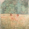 Field Study