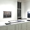 Installation at Daniel Cooney Fine Art 
January 6 - February 12, 2011