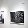 Installation at Daniel Cooney Fine Art
January 6 - February 12, 2011