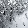 Snowblind