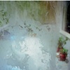 Joyce's Sunroom