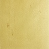 Palimpsest