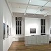 Installation at Daniel Cooney Fine Art 
January 6 - February 12, 2011
