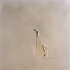 Masking Tape