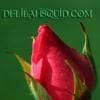 Rosebud