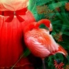 Flamingo Party!