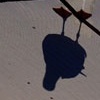 Gull