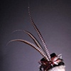 Isadora Chapeau