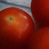 Tomato Trio