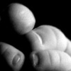 Toes