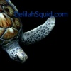 Turt