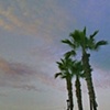 Dusk