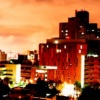 Night City