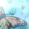 Butterflies and Dreams