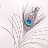 Feather Girl