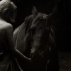 Horse and Shadow
