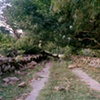 Zeatland's Plantation Entrance