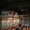 Dean's Chicken Coop
