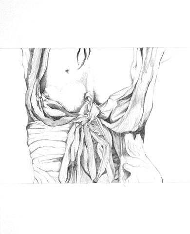 Untitled (Jalouse torso)