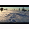 The Escape (still 1 of 2)