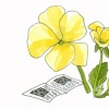 pansies doing crosswords