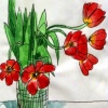 tulips and drink