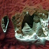 Carlsbad miniature