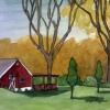backyard shed - bloomington