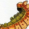 caterpillar