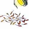 leaf counter